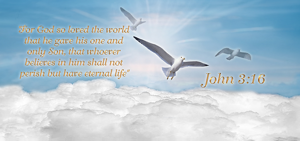 BL Sky Birds (John 316) PROOF 2